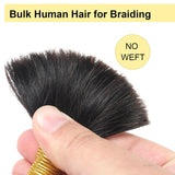 Human Braiding Hair for Boho Braids Deep Wave Bulk Human Hair for Braiding 2 Bundles 100G 100% Brazilian Wet and Wavy Curly Human Hair Braiding Hair Extensions Honey Blonde No Weft Bundles